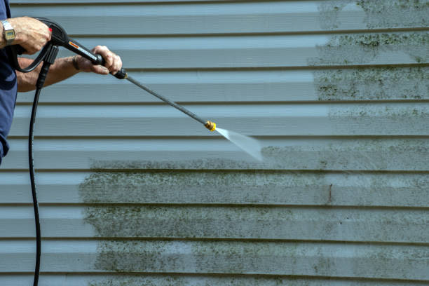 Best Dumpster Area Cleaning  in Upper Lake, CA